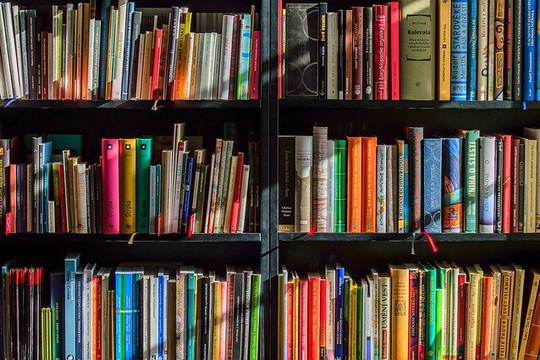 Nuove norme sull'accesso e l'erogazione dei servizi delle Biblioteche
